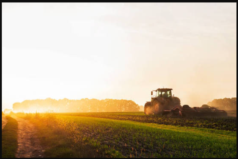 Farm & Grain Sourcing